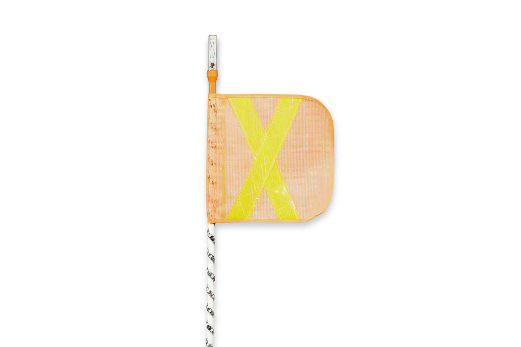 WHIP FLAGS